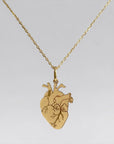 Collana cuore Anatomico S
