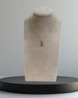 Collana Ancoretta
