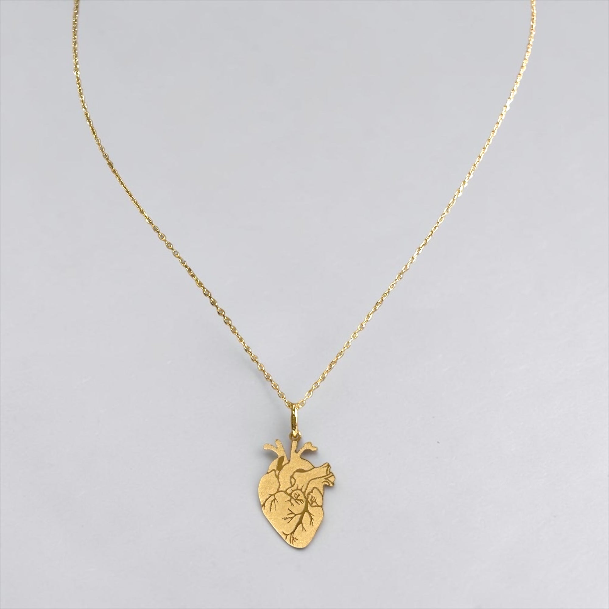 Collana cuore Anatomico S