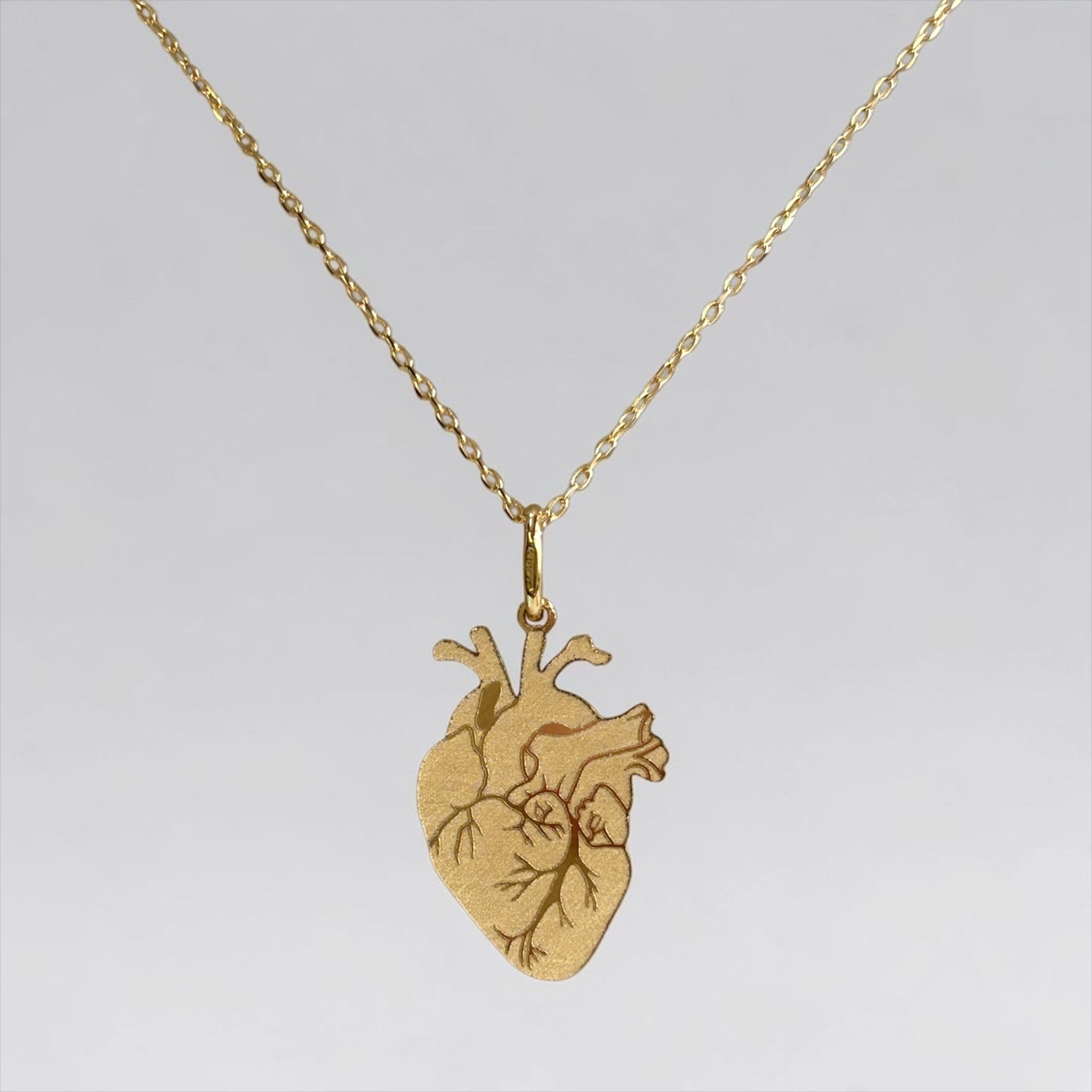 Collana cuore Anatomico S