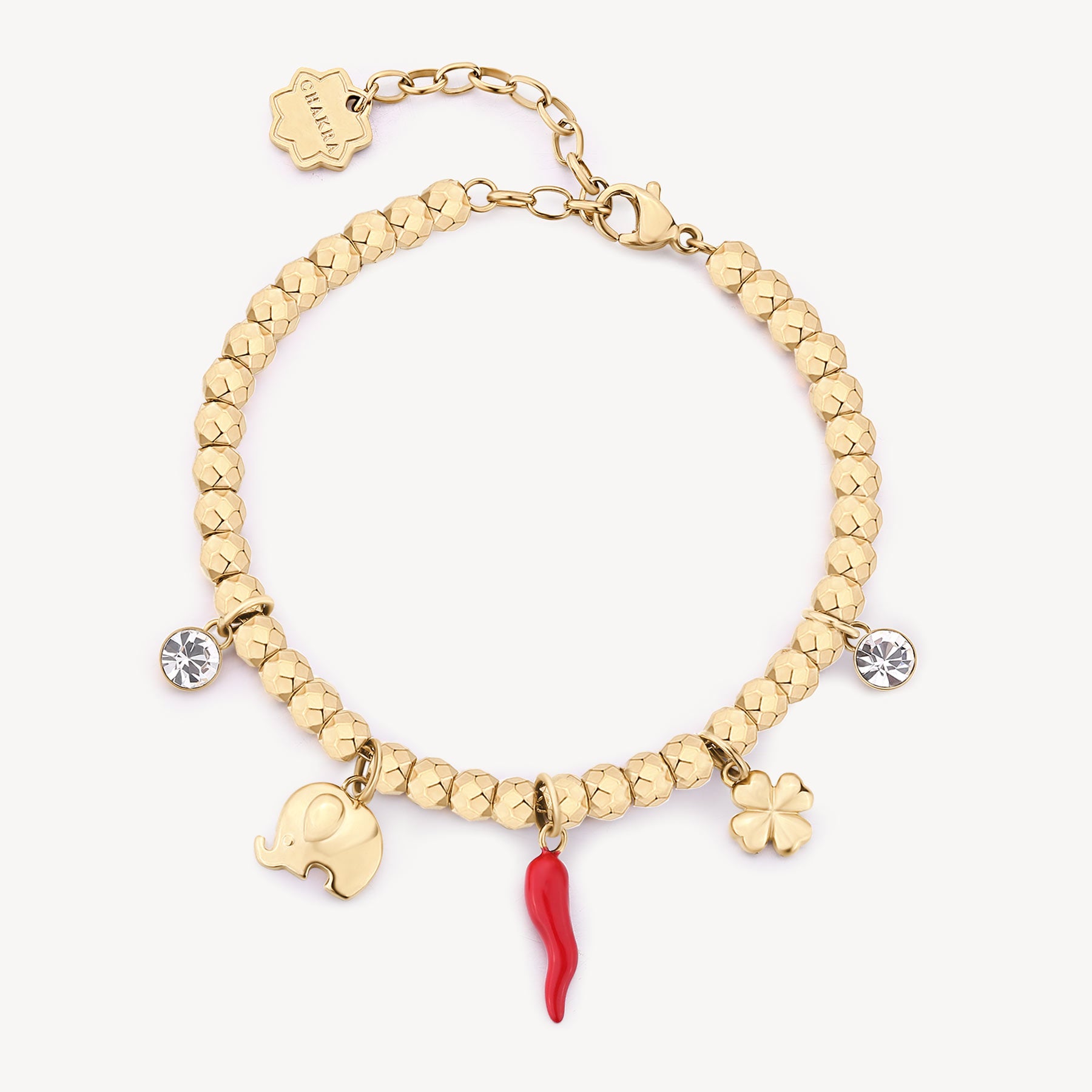 Bracciale CHAKRA PORTAFORTUNA Acciaio BHKB246