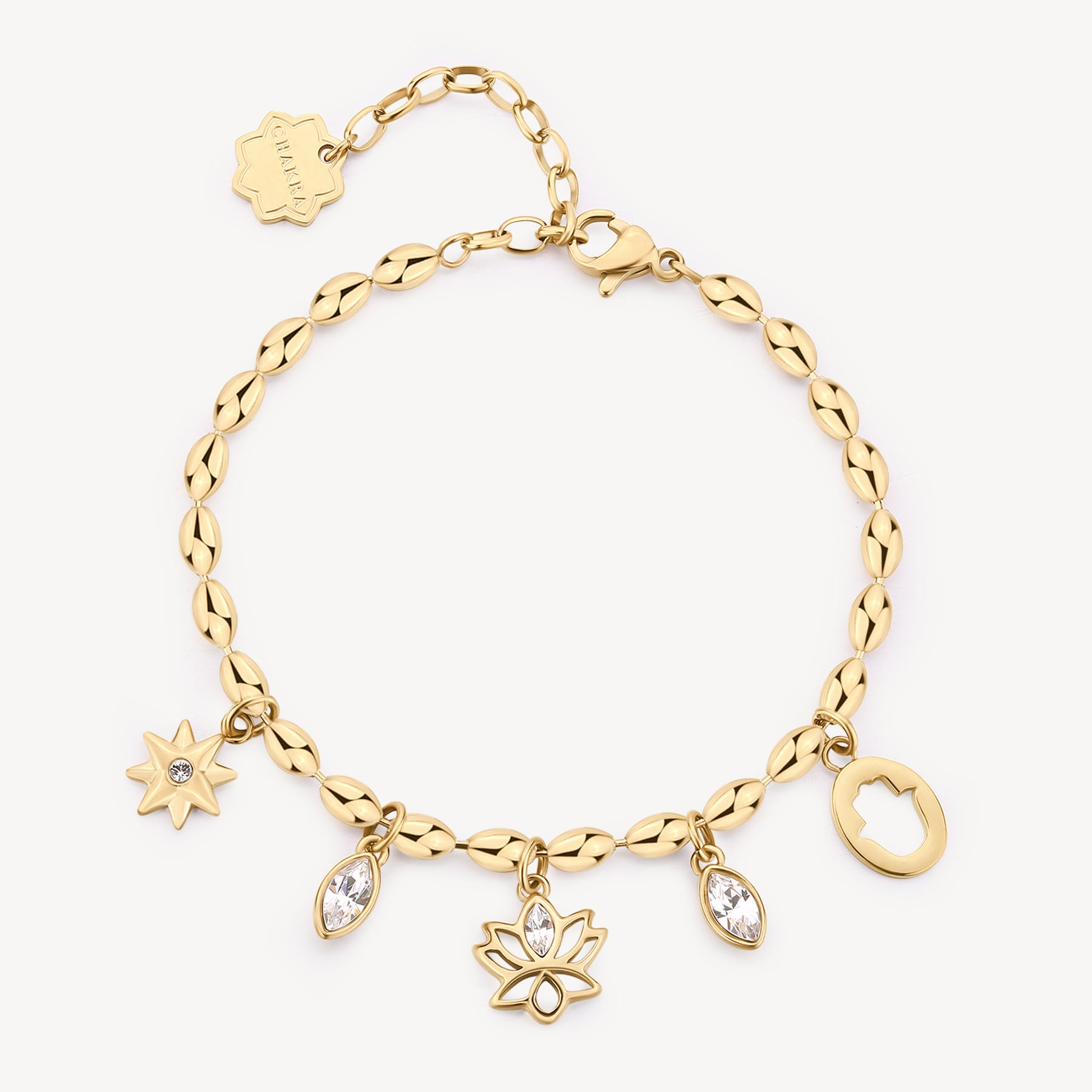 Bracciale CHAKRA MISTICI Acciaio BHKB252