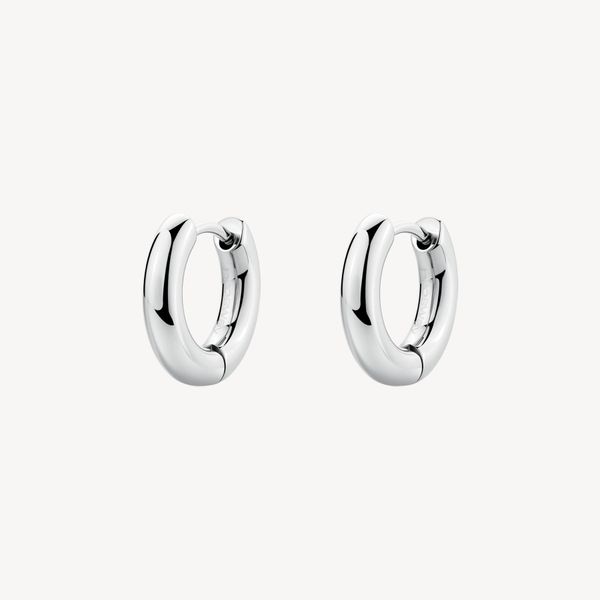 Orecchini PERFECT  Acciaio BPC42