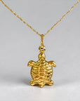 Collana Ocean